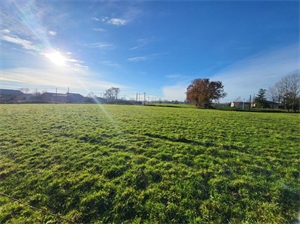 terrain à la vente -   01190  PONT DE VAUX, surface 3140 m2 vente terrain - UBI481969211